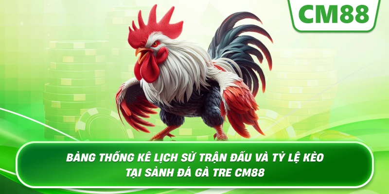 Bảng thống kê lịch sử trận đấu và tỷ lệ kèo tại sảnh Đá Gà Tre CM88